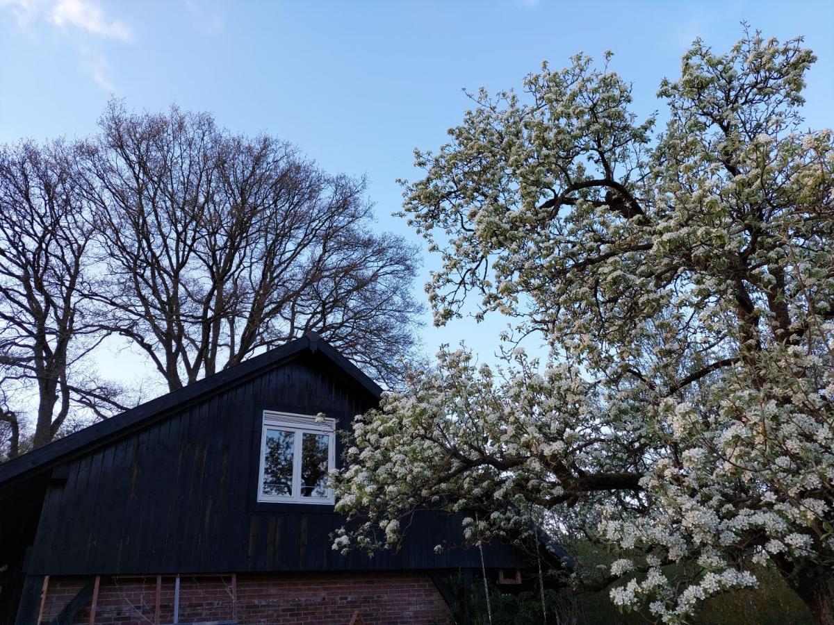 Klavertje 4 In Laren Gld
